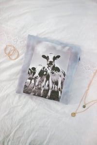 Balenciaga Cows