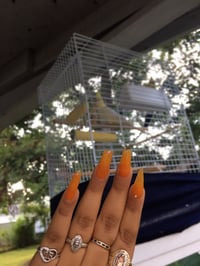 Orange🍊blast - custom acrylic color 