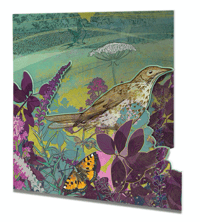 Image 1 of  Thrush - Die-cut Greetings Card