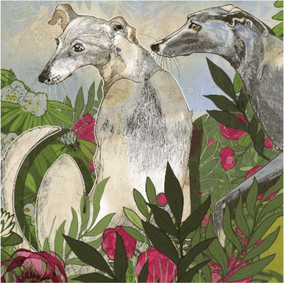 Image of Greyhound's Garden - Greetings card