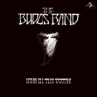 Image 3 of The Budos Band - Long In The Tooth - T-Shirt Bundles