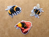 Bee Sticker Pack