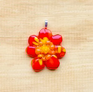 Image of Bonnie's Bling Dahlia Collection