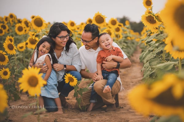 Image of Sunflower - Family Mini Sessions