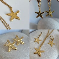 Image 1 of Coleccion estrella