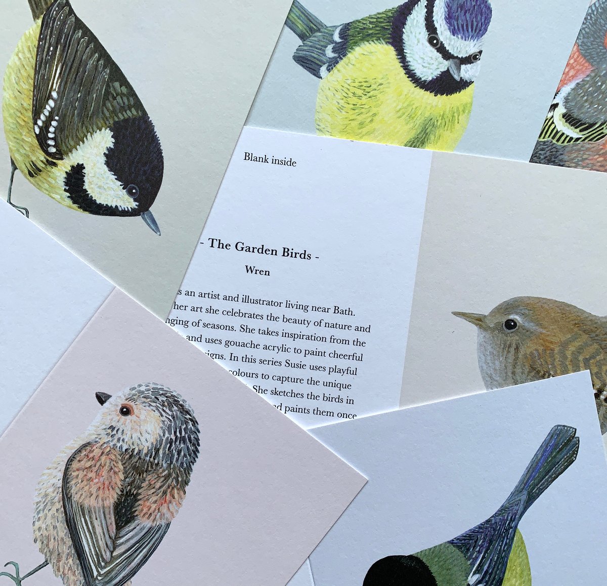 The Garden Birds Card Collection 