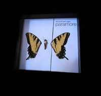Paramore tiger swallowtail PRE-ORDER