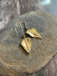 Image 1 of Birch Leaf Earrings ~ Brass