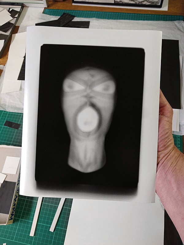 Image of Mask 1