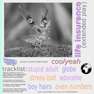 Coolyeah - Life Insurance EP (CD)