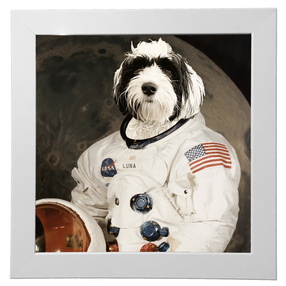 Image of Astro-pup