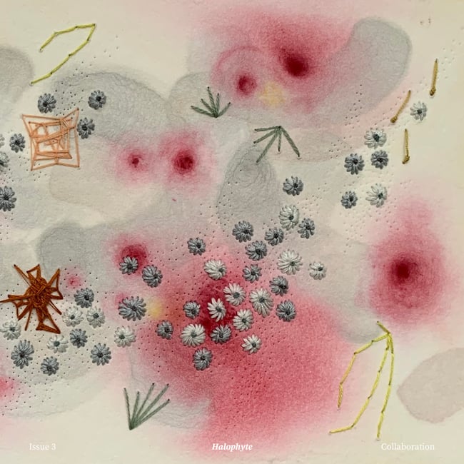 Halophyte / Issue 3