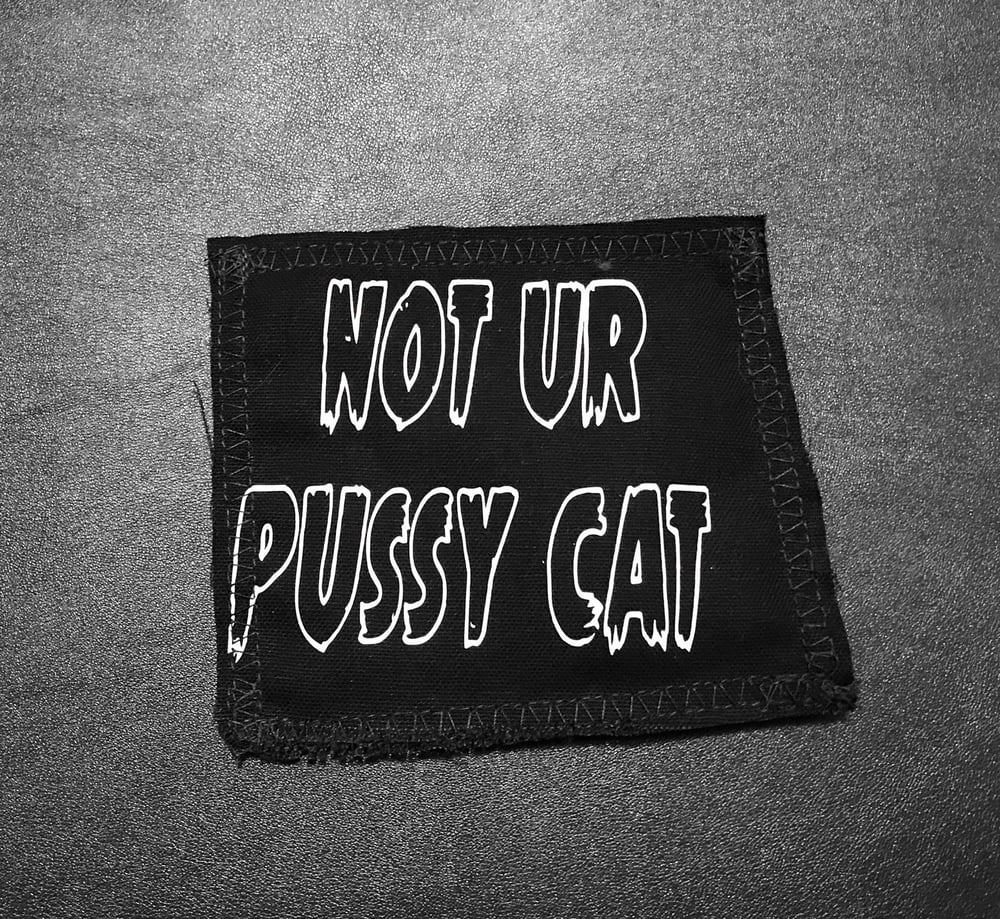 Not Your Pussy Cat Catnip Toy