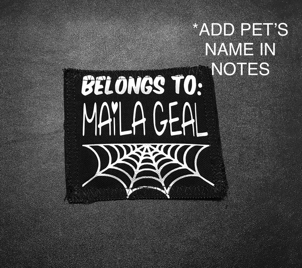 Custom Pet’s Name Catnip Toy