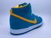 Image of NIKE DUNK HIGH PRO SB "TROPICAL TEAL"