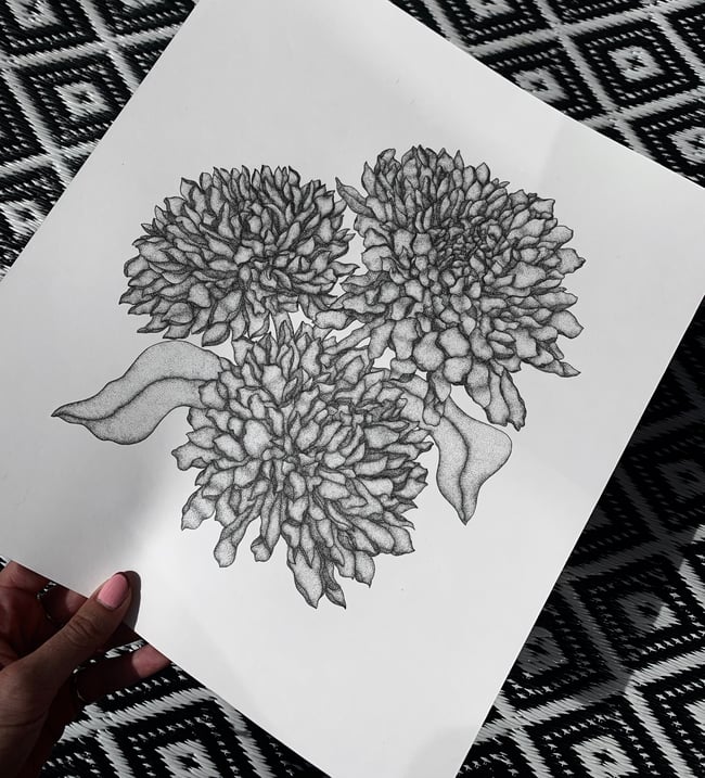 Original Chrysanthemum Drawing Sofiana Ison Dawson Designs