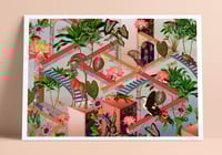The Maze