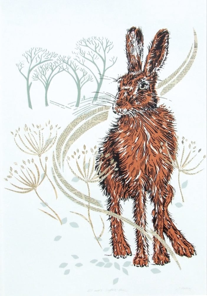 Image of All ears - Suffolk hare