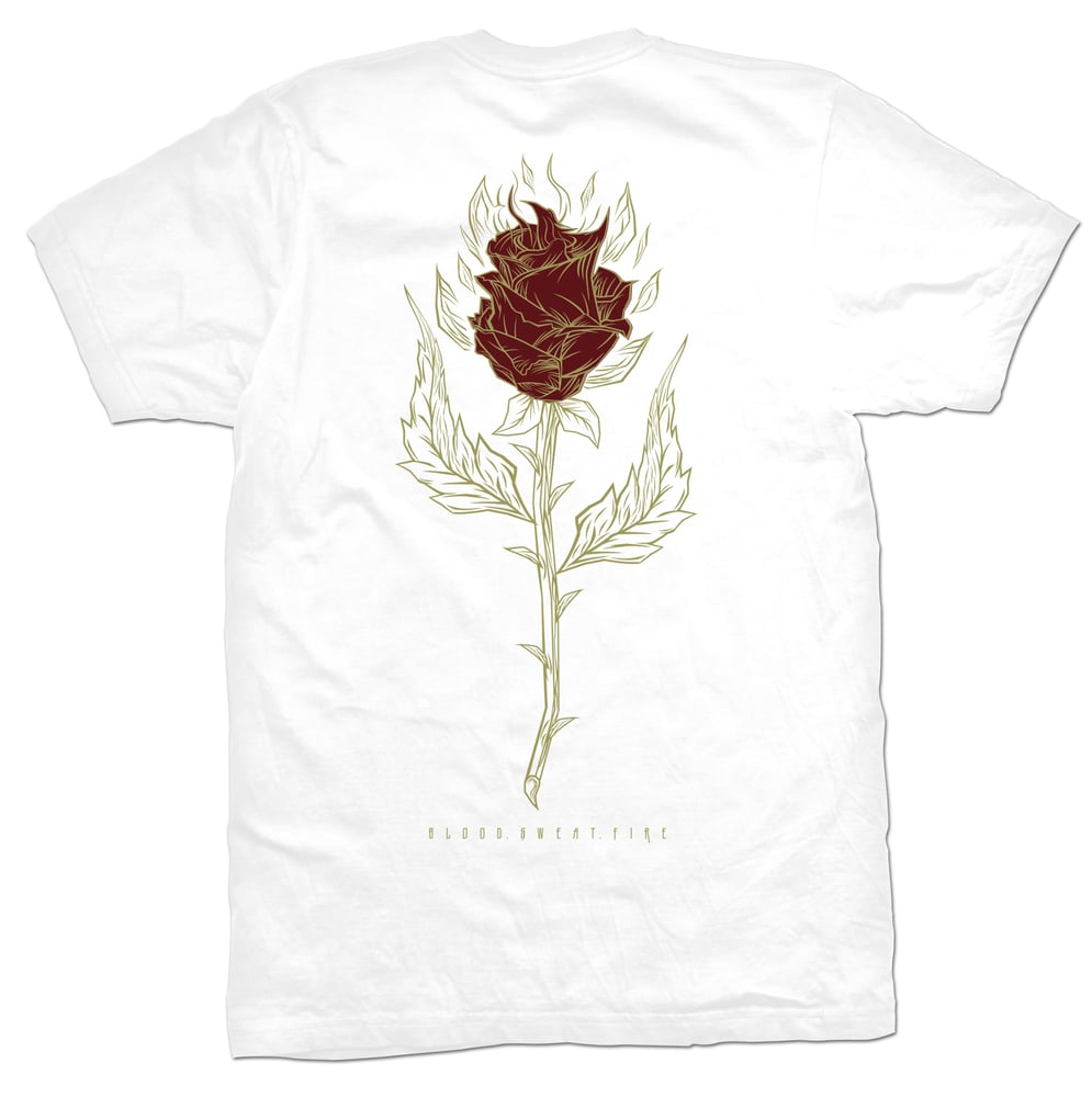 Image of ROSE PHOENIX 