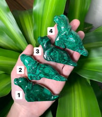 Image 1 of Malachite Seals