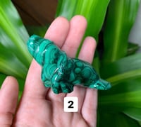 Image 3 of Malachite Seals