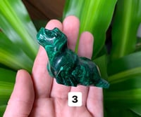 Image 4 of Malachite Seals