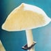 Image of (O.T.Oss & O.N.Oeric)(Psilocybin Magic Mushroom Grower’s Guide)
