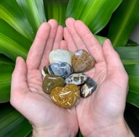 Image 2 of Mini Ocean Jasper Hearts