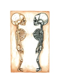 Twin Skeleton 