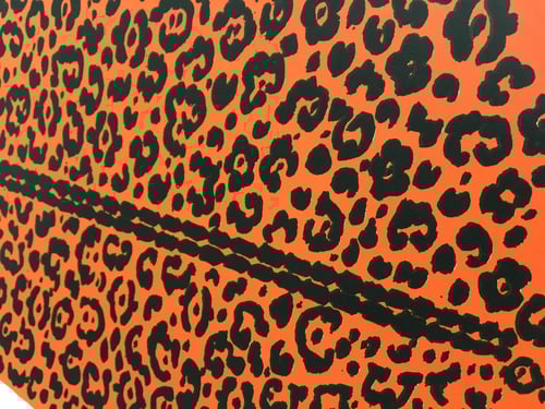 Image of Leopard Print