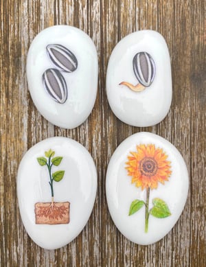 Image of LEARNING STONES