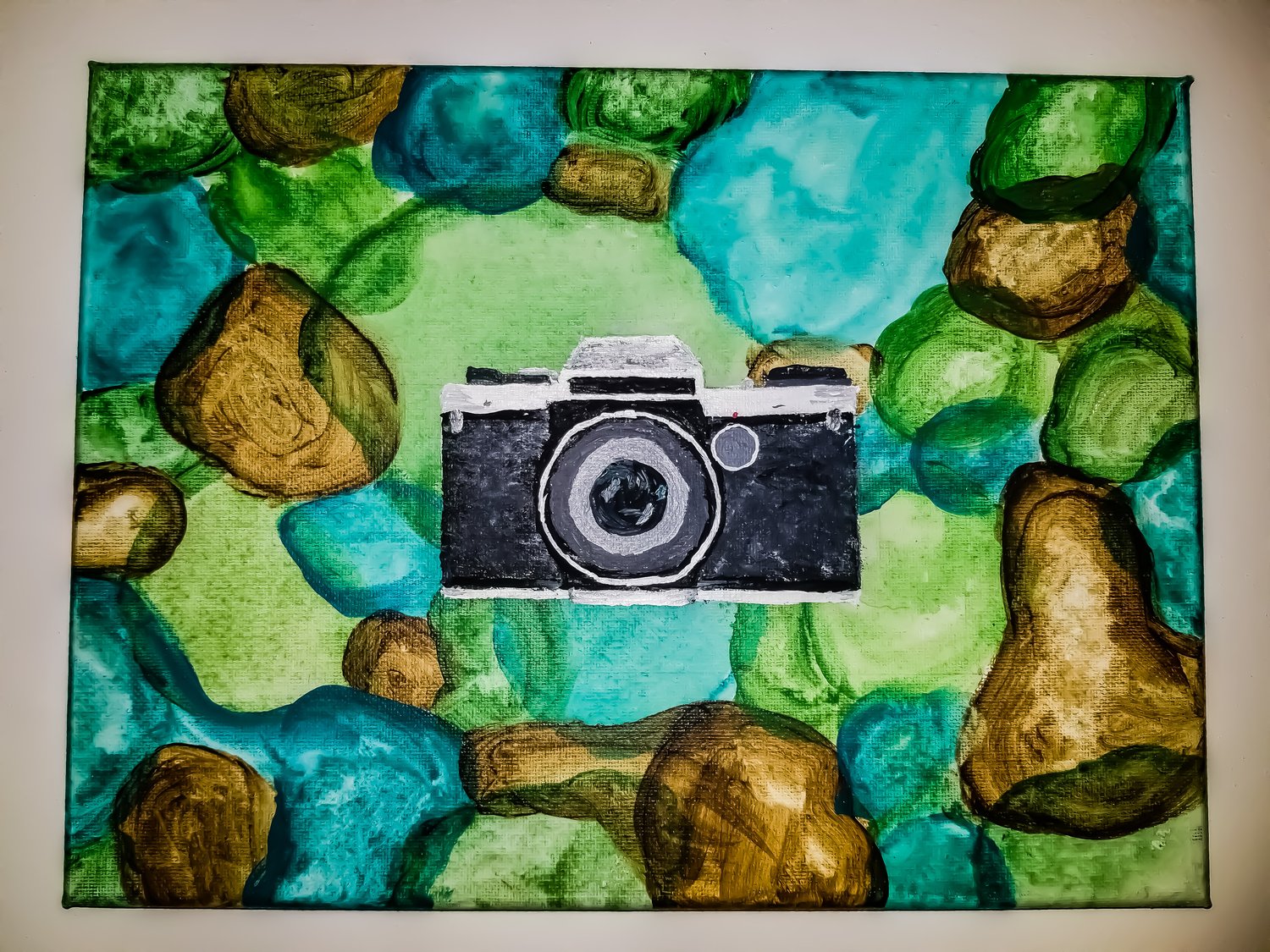 Image of Finished Camera Canvas
