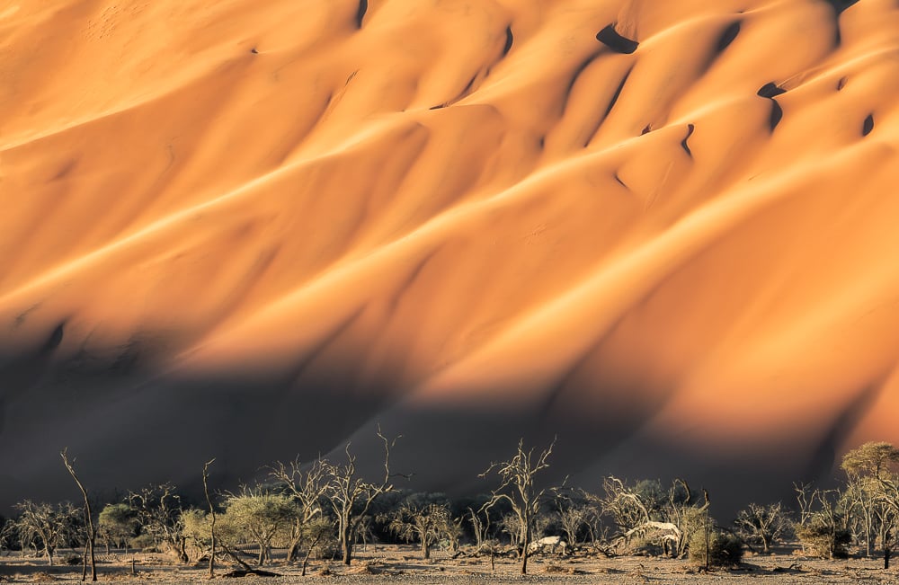 Image of Namibia Fine Art Greeting Cards