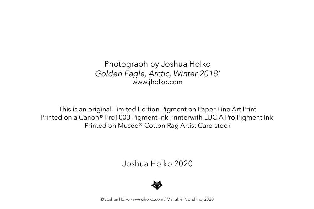 Image of Arctic Fine Art Greeting Cards