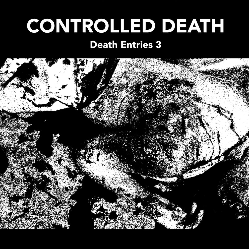 Image of CONTROLLED DEATH • Death Entries 3