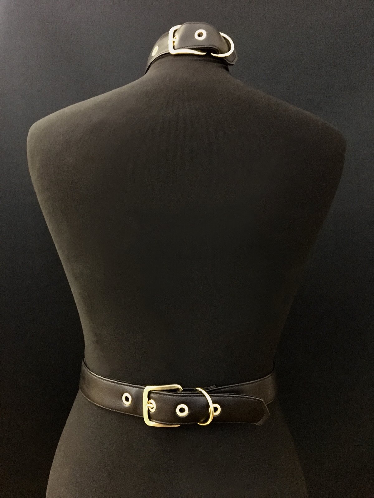 Infinity harness gold