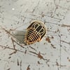 Trilobite Pin - Black and Gold