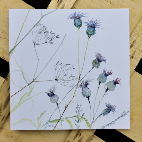 Image of Cow Parsley and Knapweed Card