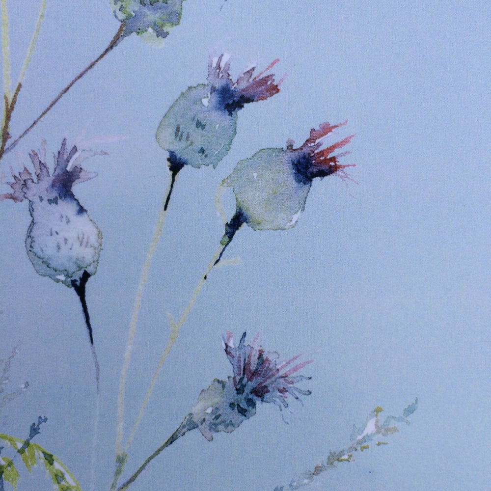 Image of Cow Parsley and Knapweed Card