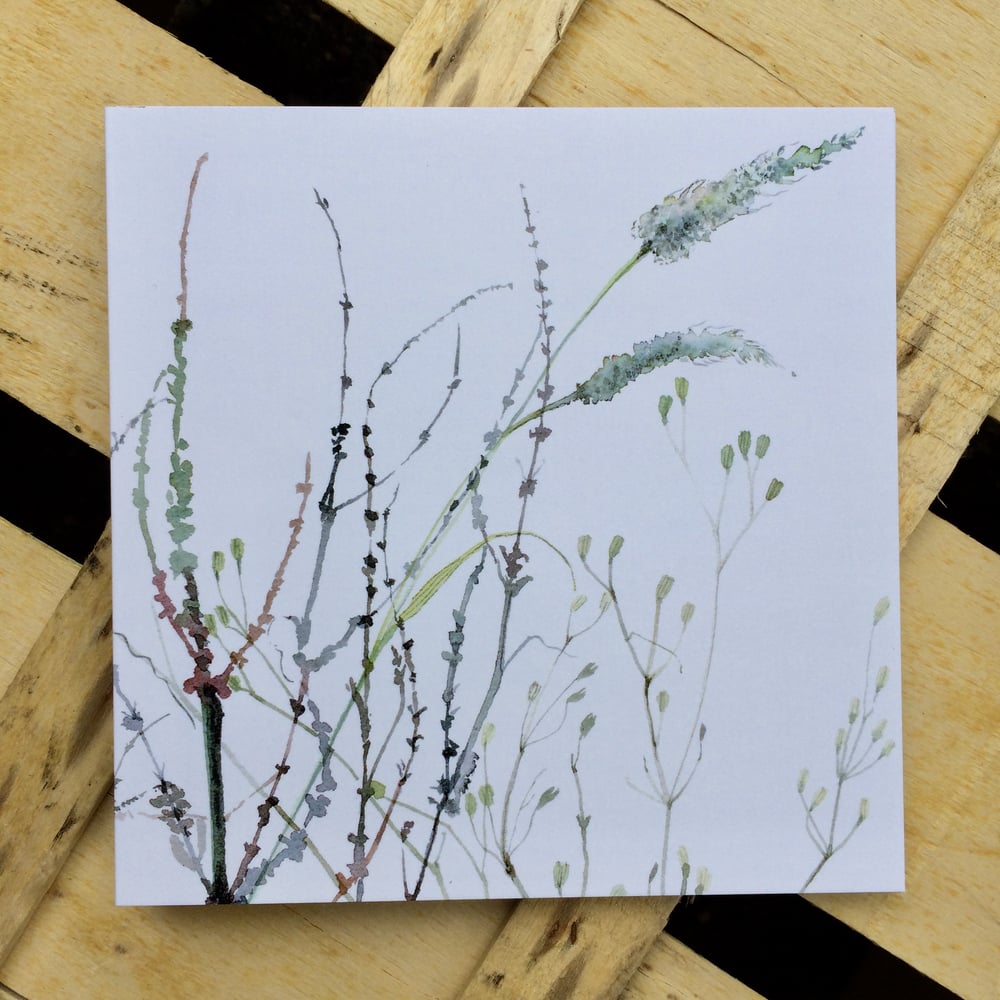 Image of Ragwort Greetings Card