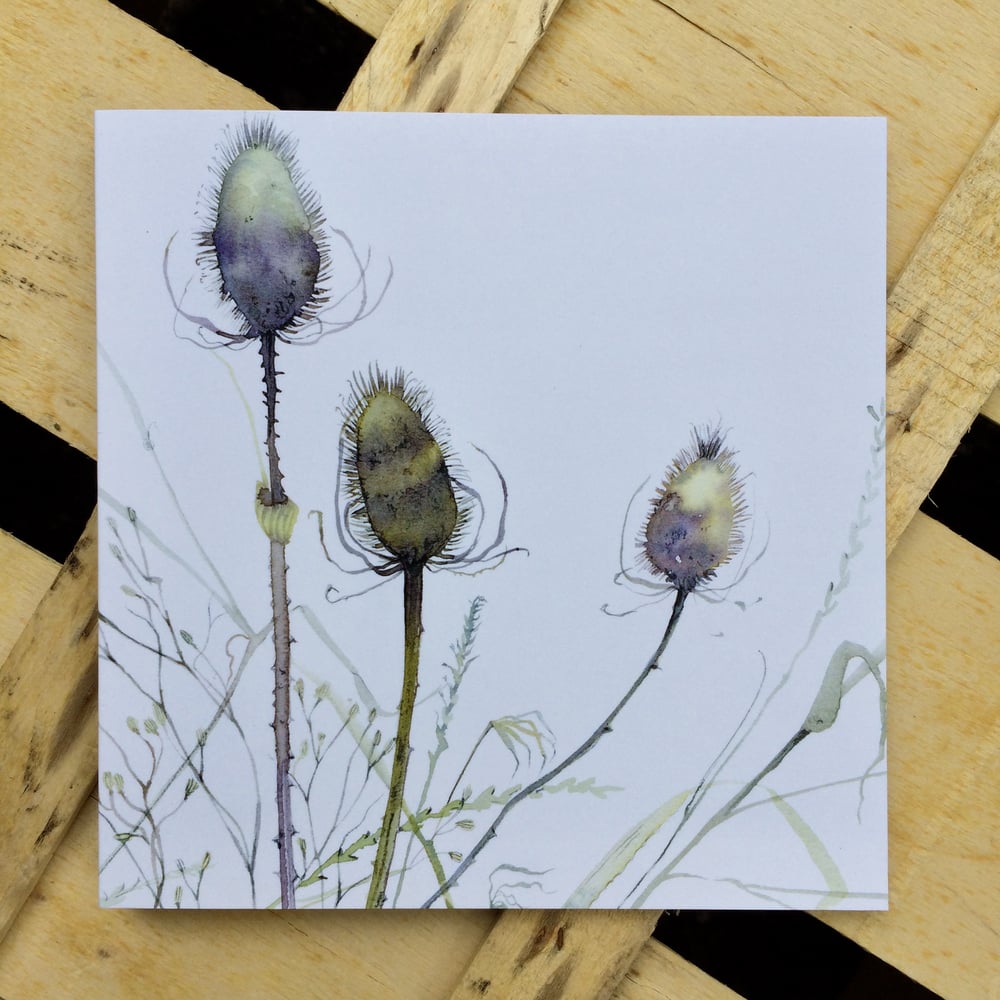 Image of Teasels and Ragwort Card