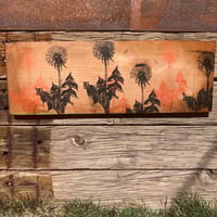 Image 2 of Dandelion Plank