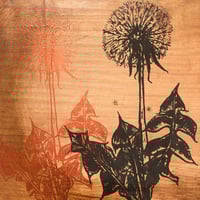 Image 3 of Dandelion Plank