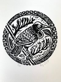 Image 1 of Tui (on white fine art paper)