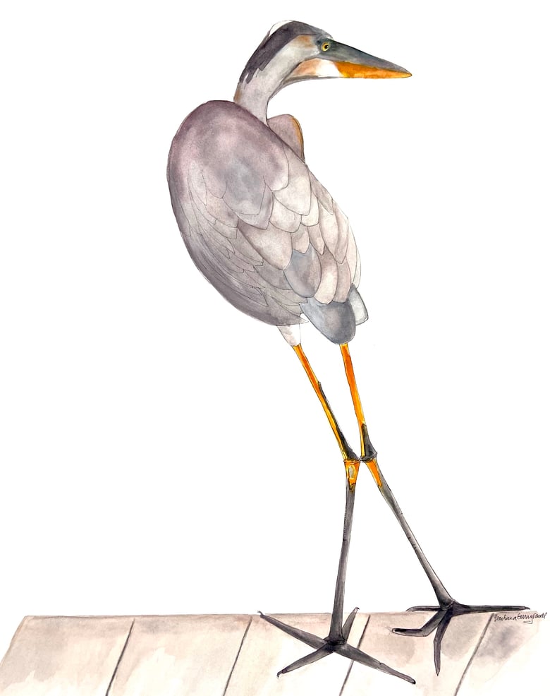 Image of Heron in Longboat, Nature-Inspired watercolor artwork