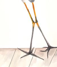 Image 2 of Heron in Longboat,  fine art watercolor bird painting