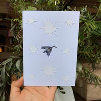 Wildflower Meadow zine 