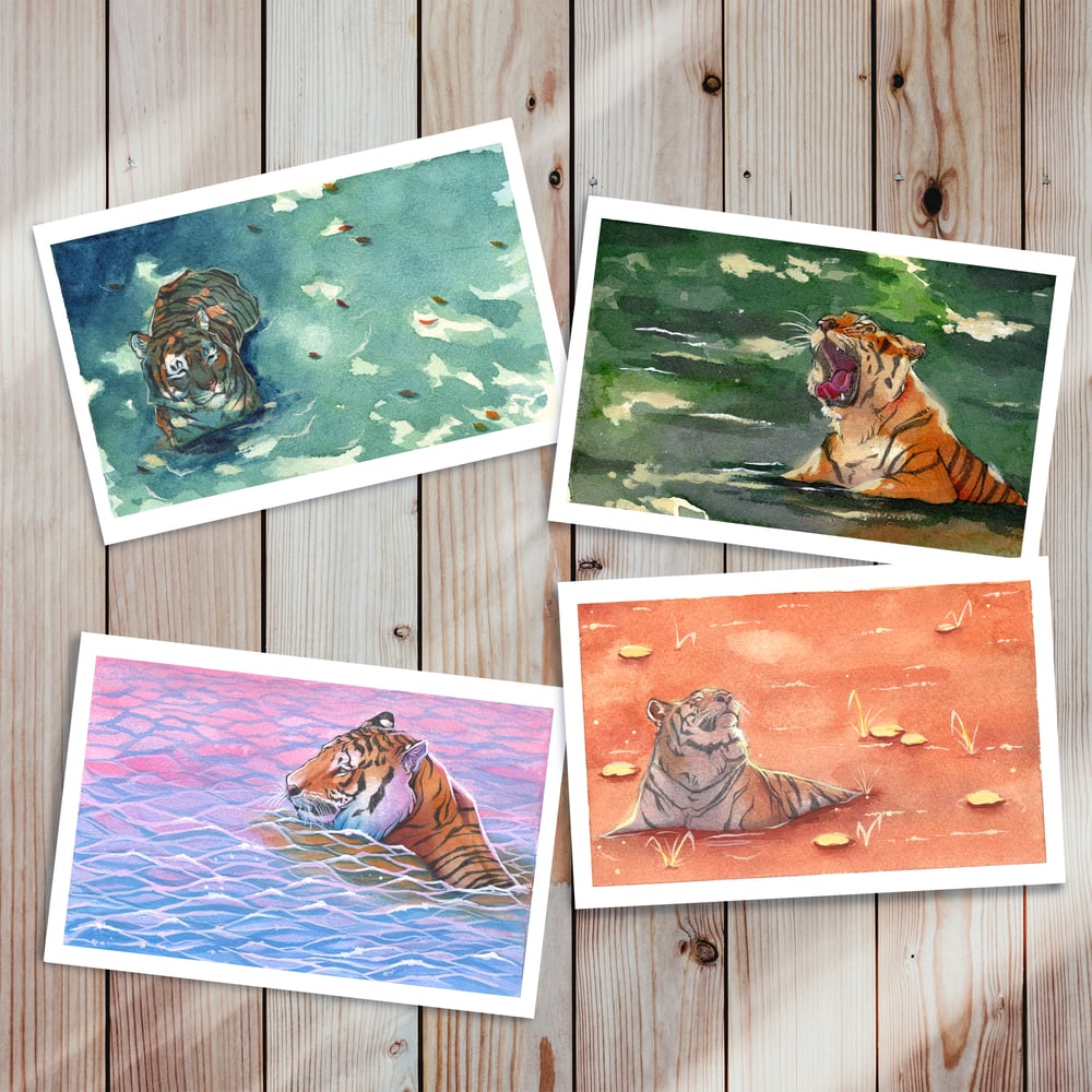 Image of Tiger postcards