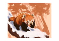 Image 2 of Red panda print