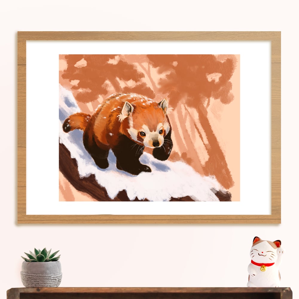 Image of Red panda print